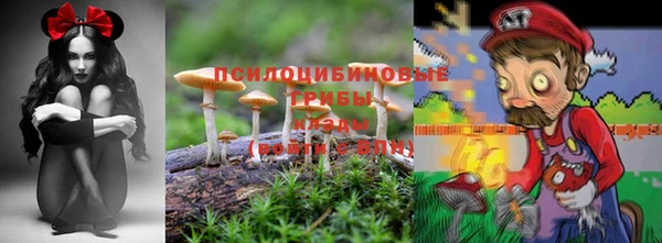 эйфоретик Алексеевка