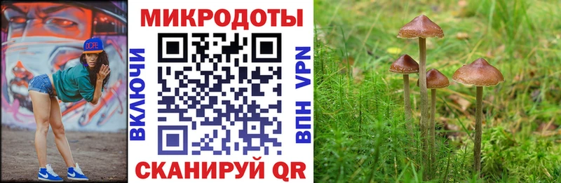 Галлюциногенные грибы мицелий  Апшеронск 